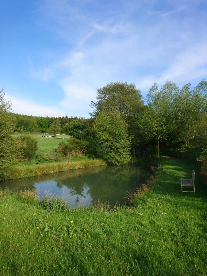 Ferienwohnung Hohe Acht Kaltenborn  エクステリア 写真